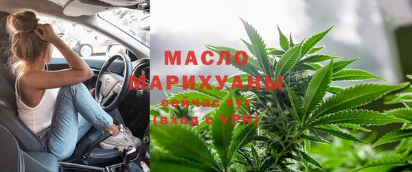 гашик Касимов