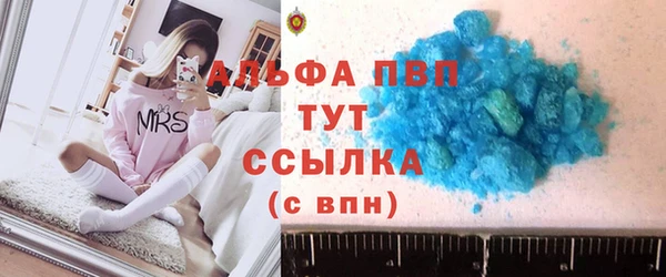 гашик Касимов